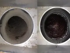 before after results