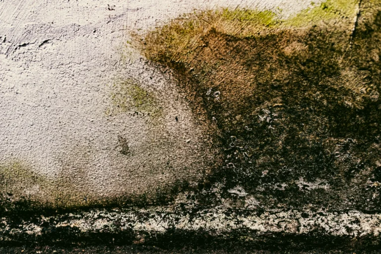 signs you need air duct cleaning Everett - Image