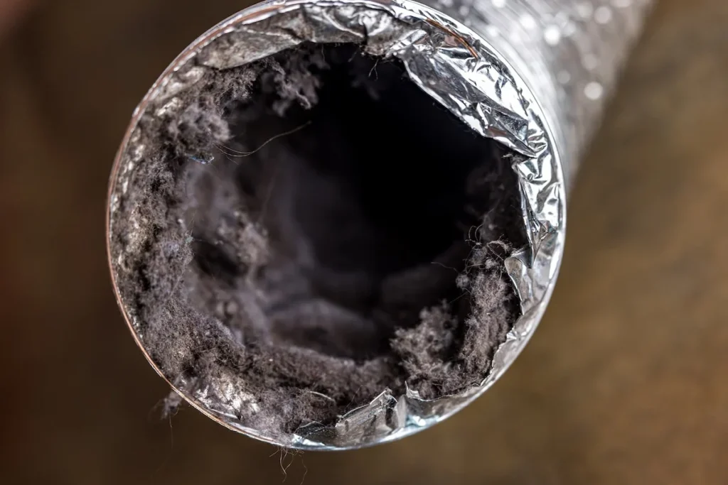 Dirty air duct with heavy dust and mold buildup Everett WA