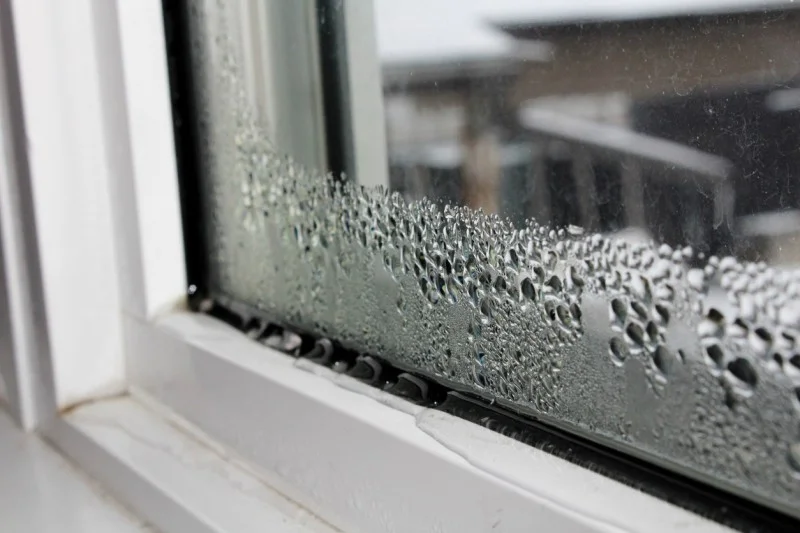Window condensation from high humidity in Everett homes